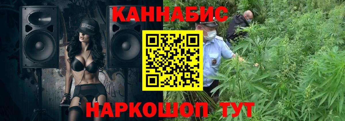 Шишки марихуана OG Kush Кузнецк
